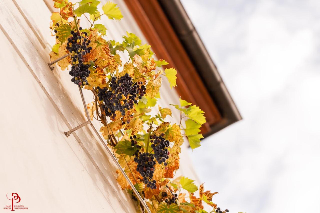 Palac Pakoszow Schlosshotel Wernersdorf Jelenia Gora Dış mekan fotoğraf Vineyards in the village of Saint-André-de-Valzach